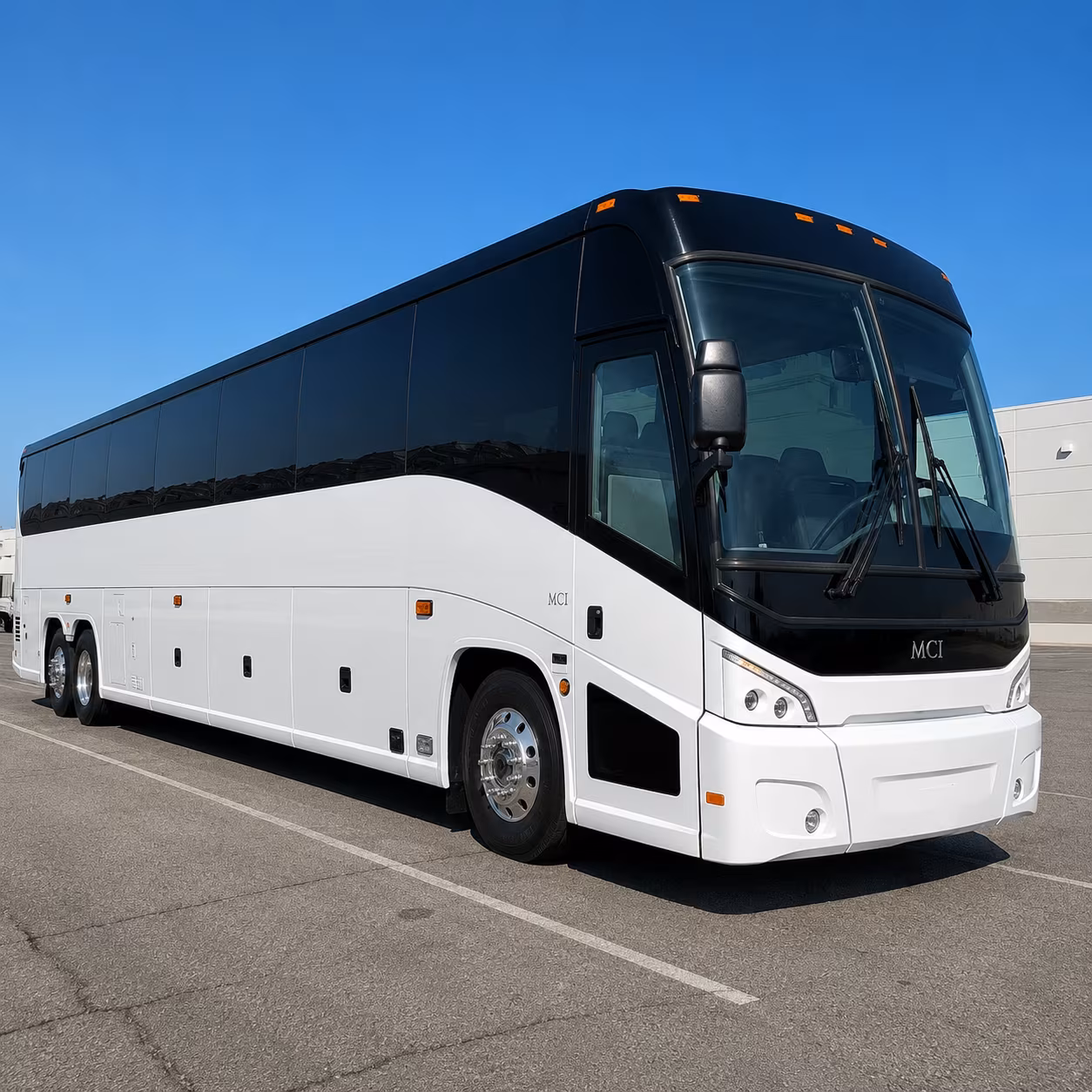 we help you compare buses for medieval times pirates dinner adventure dinner show events